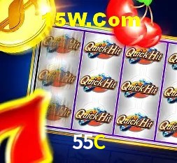 Experimente o Login Seguro Premium no 55C